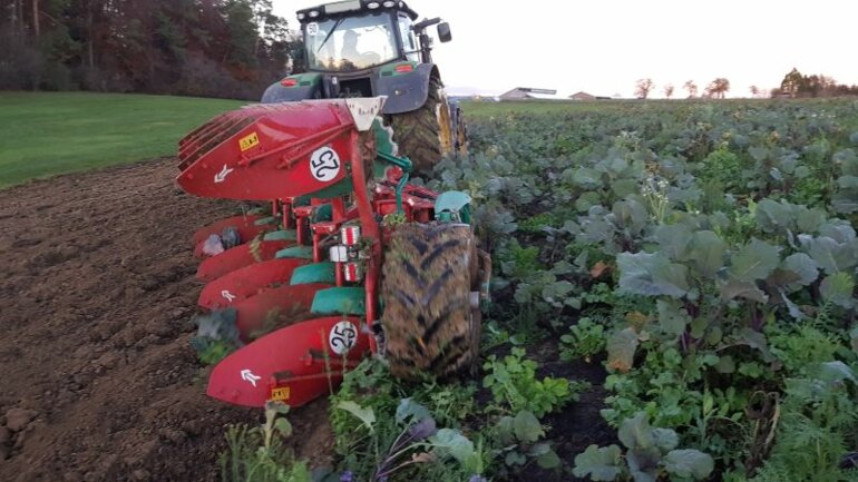 Corrected-field-ghg78b8n7k (2)